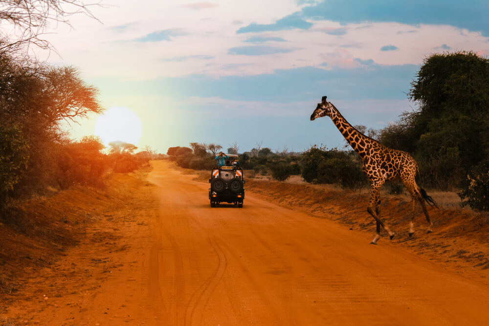 travel and tourism courses in kenya